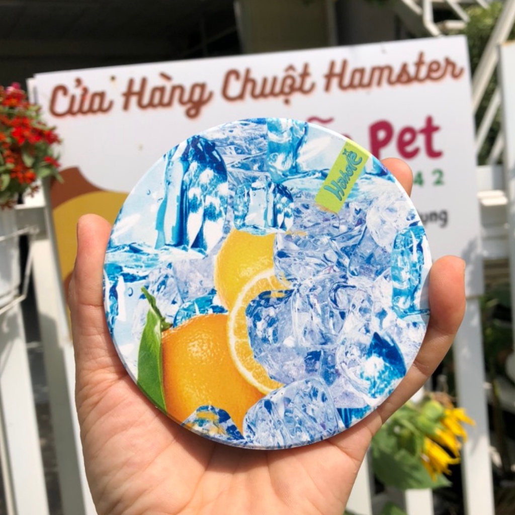 Tấm sứ tản nhiệt cho hamster, sóc, bọ, nhím, thú nhỏ