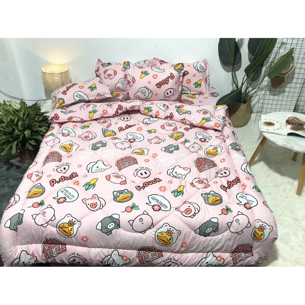 Bộ Chăn Ga Gối Chăn Phao Mẫu Mới Bộ Chăn Ga Gối 5 Món
