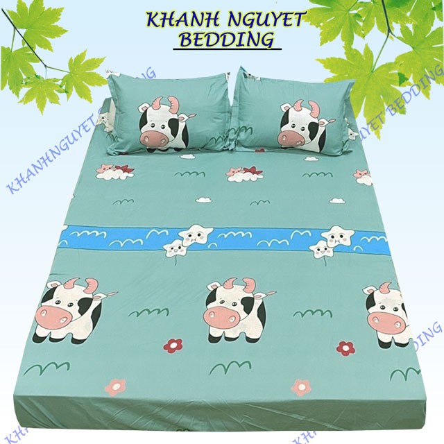 Bộ Ga chun vỏ gối cotton poly m6x2m, m8x2m