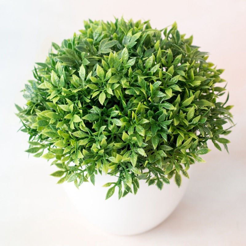 Chậu Cây Giả Bằng Nhựa Dùng Trang Trí Nhà Cửa / Văn Phòng