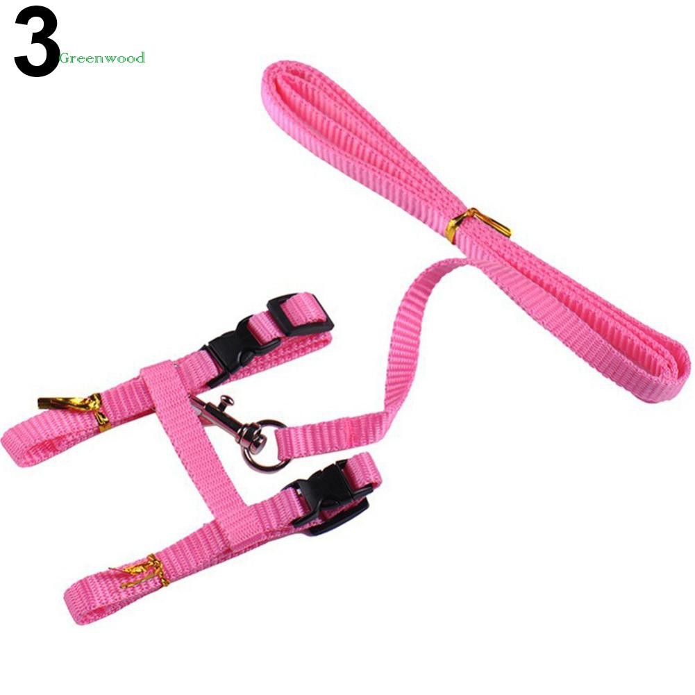 Dây đeo dắt mèo đi dạo thiết kế thoải mái