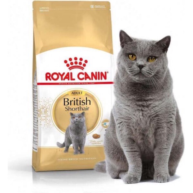 Royal canin BRITISH SHOTRHAIR cho mèo lớn túi 400g