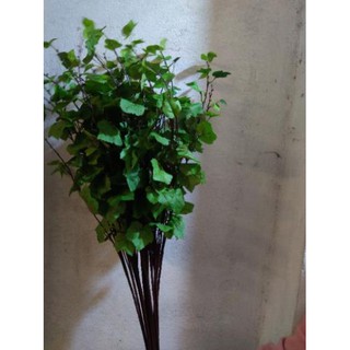 Cành lá dài 3nhánh ( để Free ship CHAT ngay với người bán)