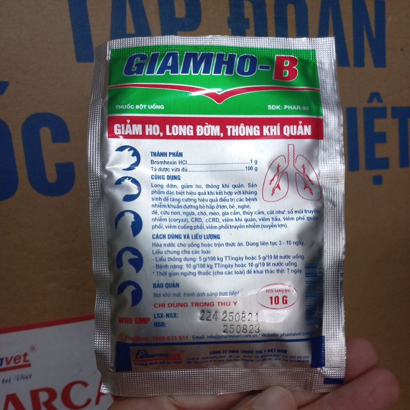 Bột pha uống giảm ho long đờm Giamho B 10g
