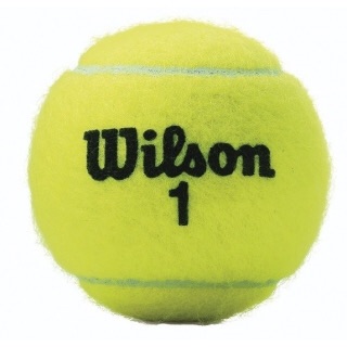 BÓNG TENNIS CỦ
