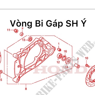 Vòng bi Gáp Sh Ý , Dylan , Ps