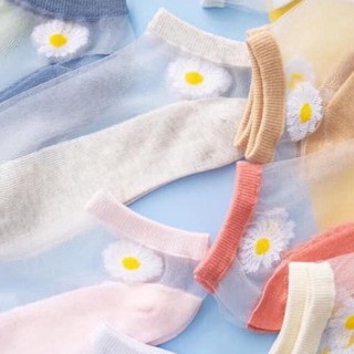 Set 10 Tất Lưới Hoa Cúc Người Lớn