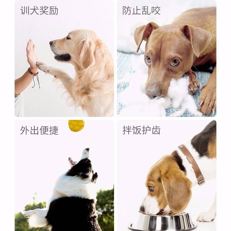 Fair's 40 gốc Ham Xúc xích Pet Food Dog Snack Gold Mao Teddy Dog Xúc xích Dinh dưỡng