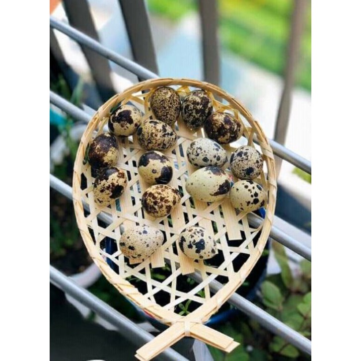 Đĩa tre đựng đồ ăn trang trí decor