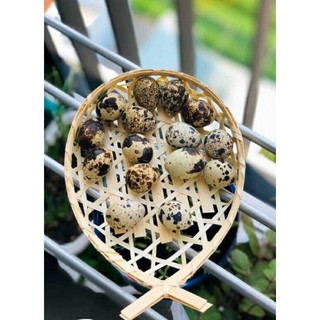 Đĩa tre đựng đồ ăn trang trí decor