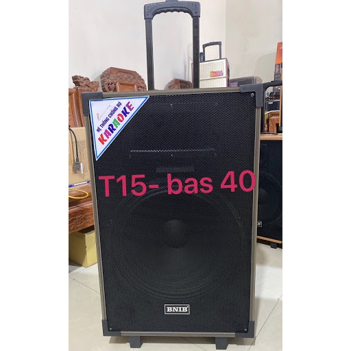 LOA KÉO BNIB - bass từ 20 đến 40 , có 2 tay mic các mã từ T8 , T10 , T12, T15 , CÔNG SUẤT LỚN , CHẤT ÂM HAY