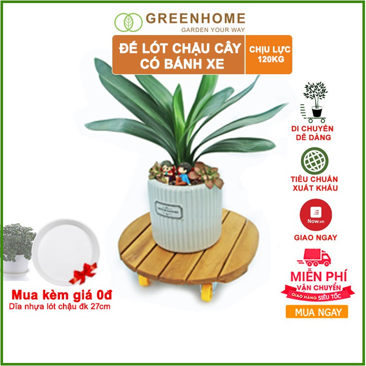 Đế lót chậu cây có bánh xe, hình tròn, màu nâu, bằng gỗ, chịu lực 120kg, R30xC8cm -Tặng 1 dĩa lót Tròn D25cm |Greenhome