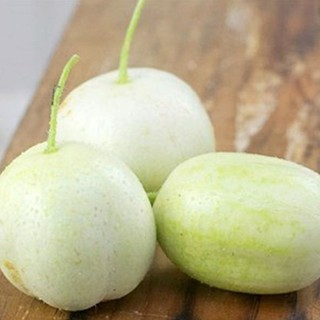 ( Mỹ) Hạt giống dưa chuột chanh Lemon - (30 hạt)