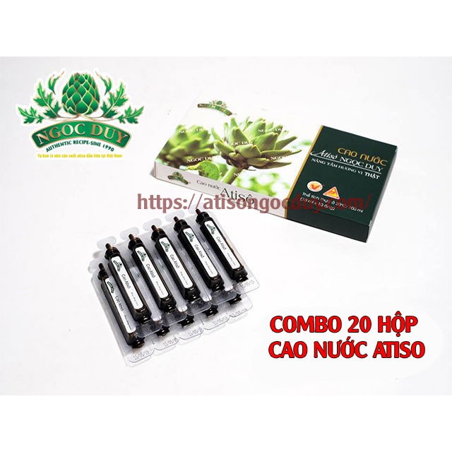 Combo 20 Hộp Cao Atiso Nước Ngọc Duy