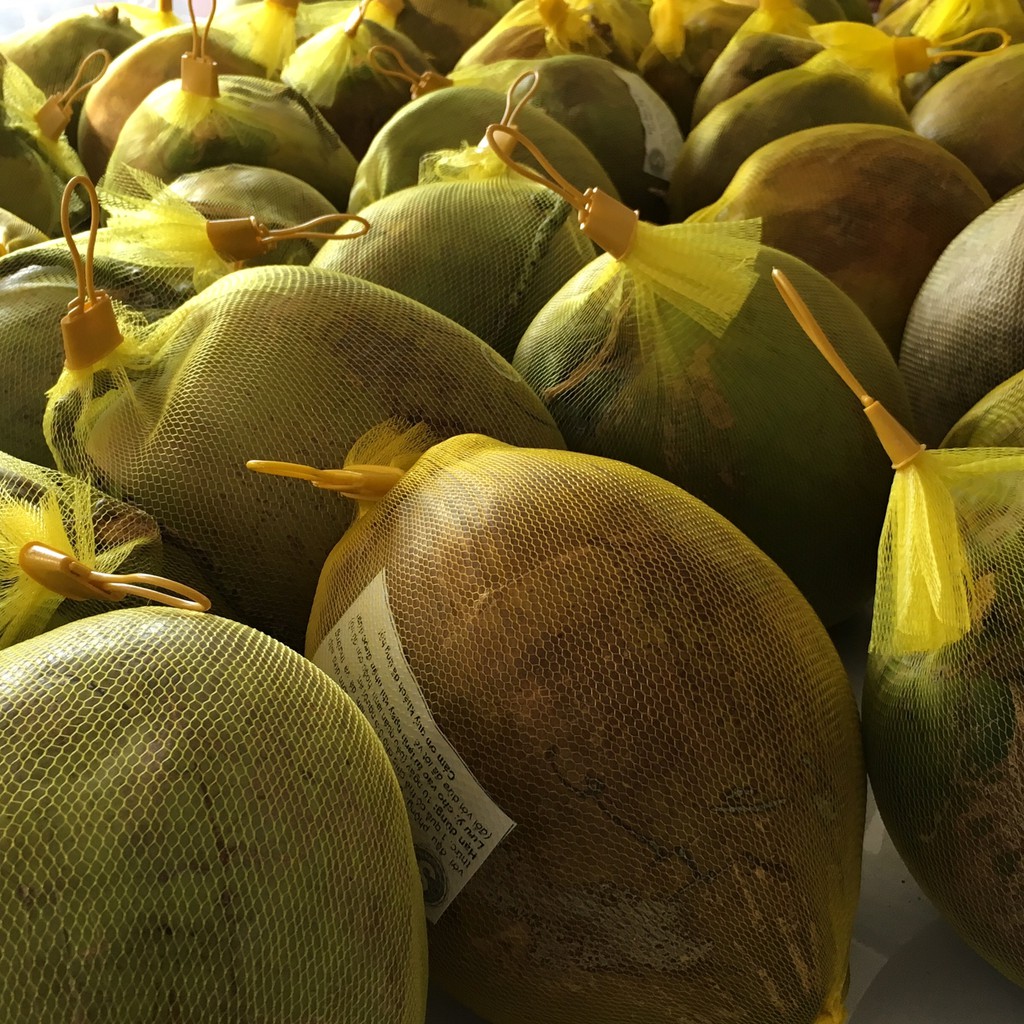 (SIÊU HOT) Dừa Sáp Trà Vinh Loại 2 - CAM KẾT CHẤT LƯỢNG SẢN PHẨM | BigBuy360 - bigbuy360.vn