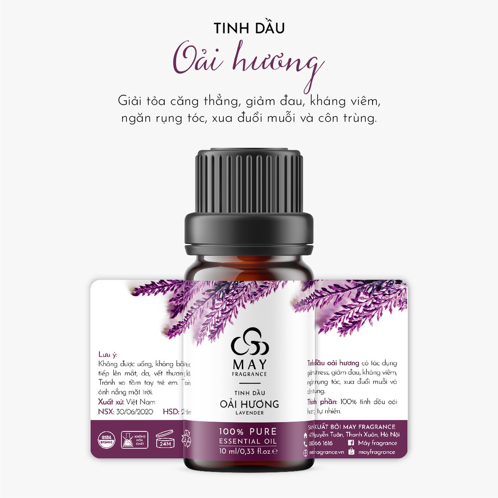 Tinh dầu Oải hương thiên nhiên thơm phòng May Fragrance lọ 10 ml