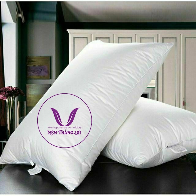 Ruột Gối Nằm Hơi Bông Gòn Êm Ái Thắng Lợi Kích thước 40x60cm, Hàng Chuẩn Âu - Giá Việt