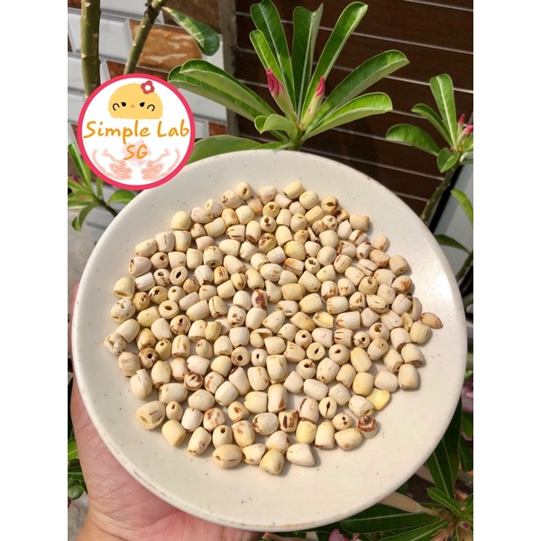 Hạt sen 100g - Chè dưỡng nhan 14 vị