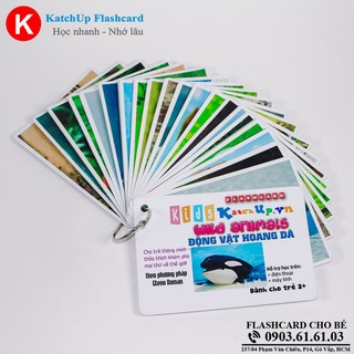 Flashcard tiếng Anh cho bé KatchUp - Động vật hoang dã