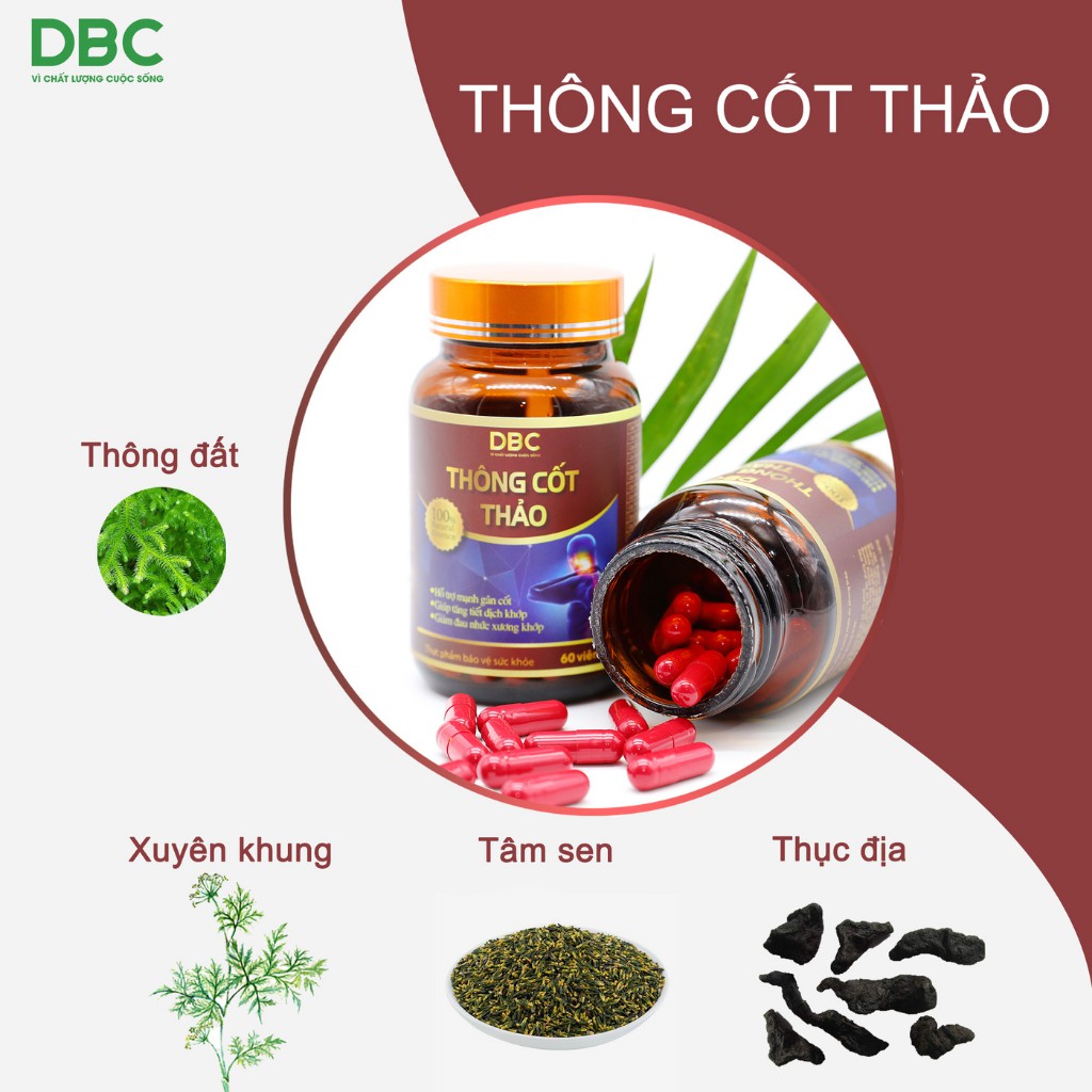 Viên Uống Xương Khớp, Bổ Xương Khớp Thông Cốt Thảo DƯỢC BẢO CHÂU Hộp 30/60 Viên Hỗ Trợ Mạnh Gân Cốt