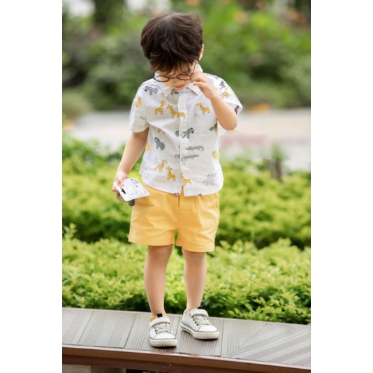 SÉT BỘ BÉ TRAI ,SƠ MI HỌA TIẾT VOI SƯ TỬ CÁ SẤU MIX QUẦN THÔ ĐŨI SIÊU ĐẸP