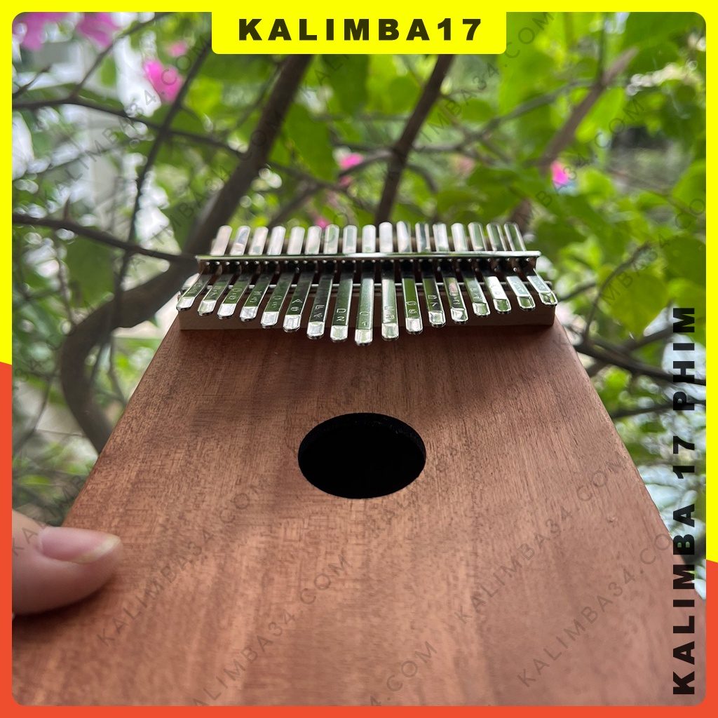 Đàn Kalimba 17 Phím Hợp Cộng Hưởng Cơ Bản Cho Người Mới Bắt Đầu