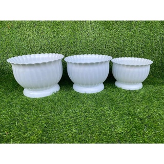 Chậu khía bầu để bàn trồng cây siêu xinh