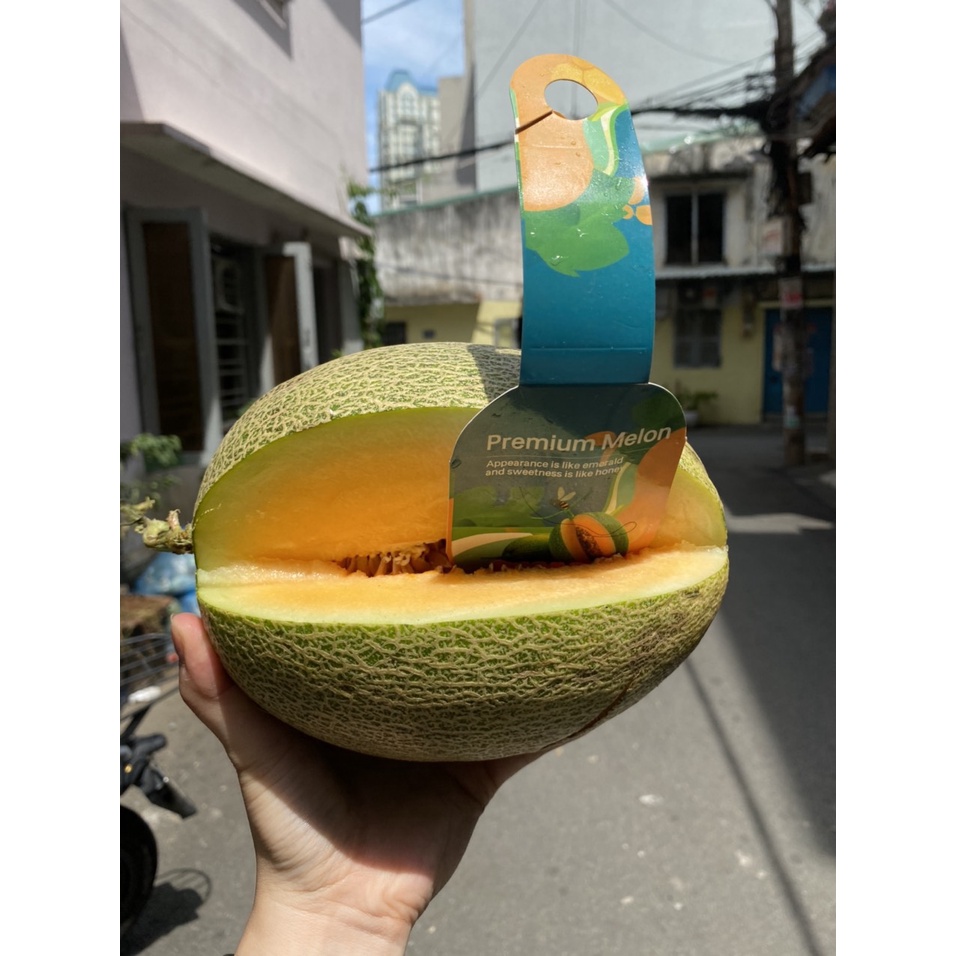 Dưa Lưới Premium Melon Trái Dài Ruột Cam (1,5kg - 1,7kg) - giòn, ngọt thanh - Vũ Gia Farm