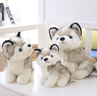 Chó bông husky - gấu bông