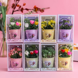 Trang trí nhà nhân tạo Hoa nhựa Cây trồng trong chậu Cây cảnh phòng khách Vườn Bàn trang trí Quà tặng