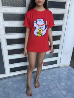 Áo mèo thần tài