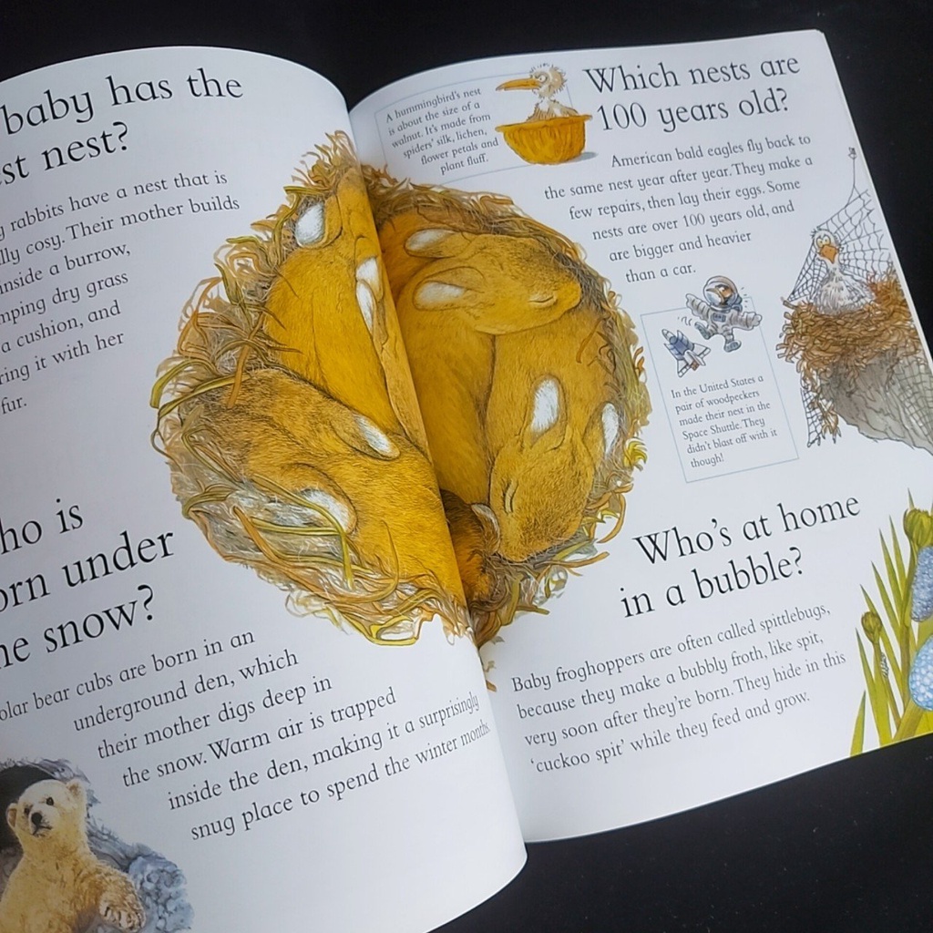 I wonder why   + mp3