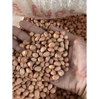 Đậu phộng quế 1kg loại 1