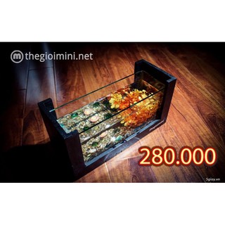 Bể Cá Mini Để Bàn