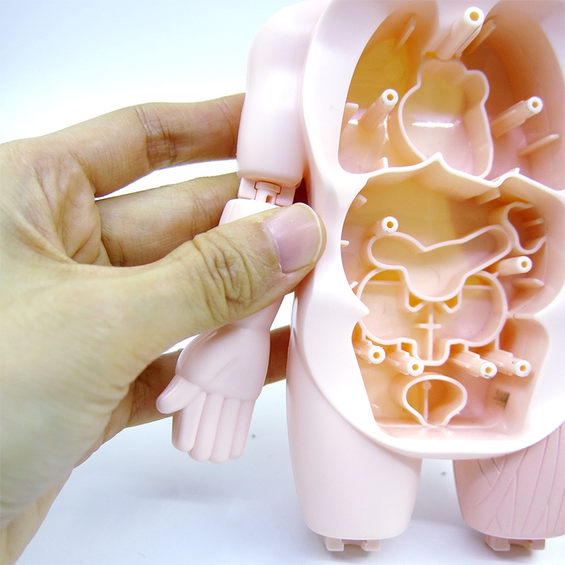 Đồ Chơi Lắp Ráp Mô Hình Cơ Thể Người 3D Giáo Dục Sớm Cho Bé