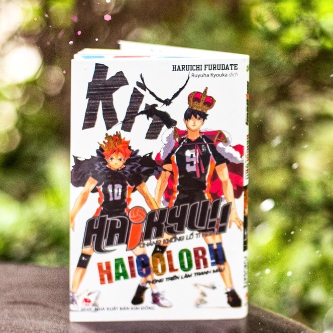 HAIKYU!! Haicolor mini artbook