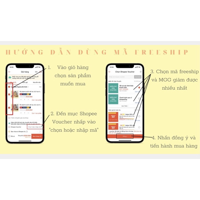 Quả thông  Hàng tuyển chọn cam kết to đẹp bền không vỡ