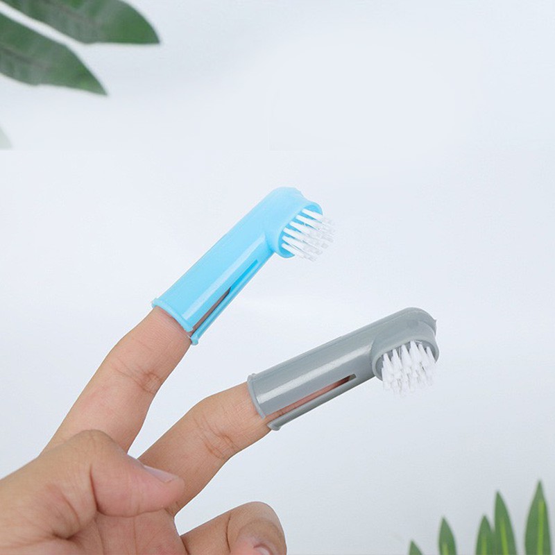 Set bàn chải đánh răng cho thú cưng chất liệu nhựa an toàn. Dụng cụ vệ sinh răng miệng cho chó mèo đầy đủ kích cỡ
