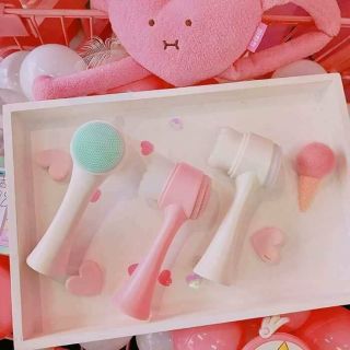 Cây Cọ rửa mặt 2 đầu