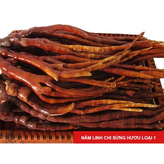 500g Nấm linh chi sừng Hươu loại 1