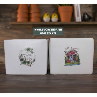 Chậu vuông hình 20cm - Vườn sen đá