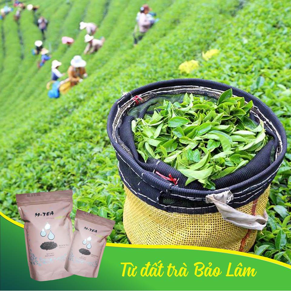 Trà Đen M-Tea Loại 1 - Nguyên liệu chuẩn pha trà sữa và trà trái cây thơm ngon - Cung cấp nguyên liệu các quán (500gr)