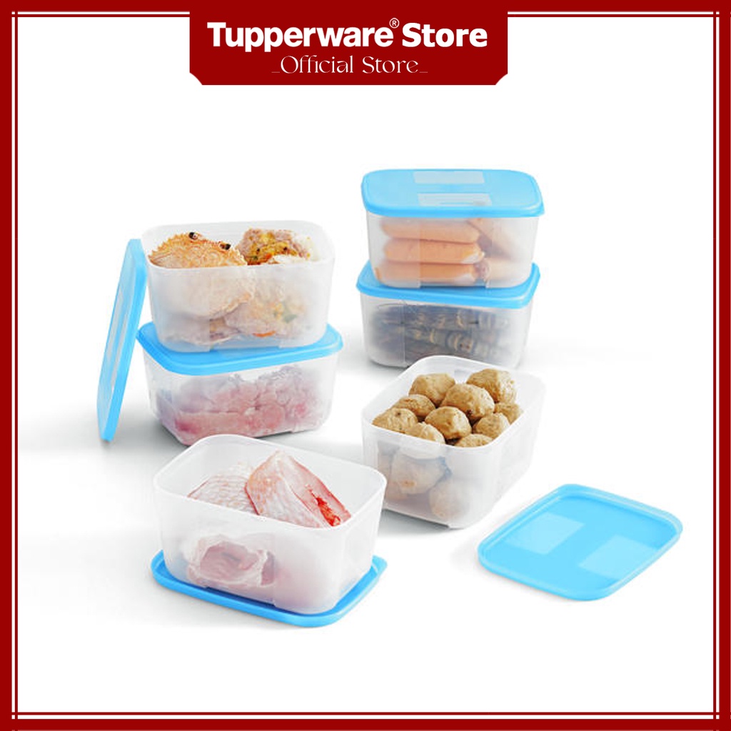 Bộ Hộp Trữ Đông Tupperware Freezermate 650ml