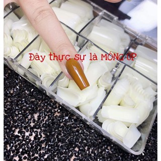 500 Móng úp HSM( móng dẻo fom chuẩn)