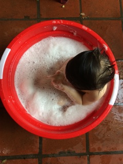 Enzym bồ hòn