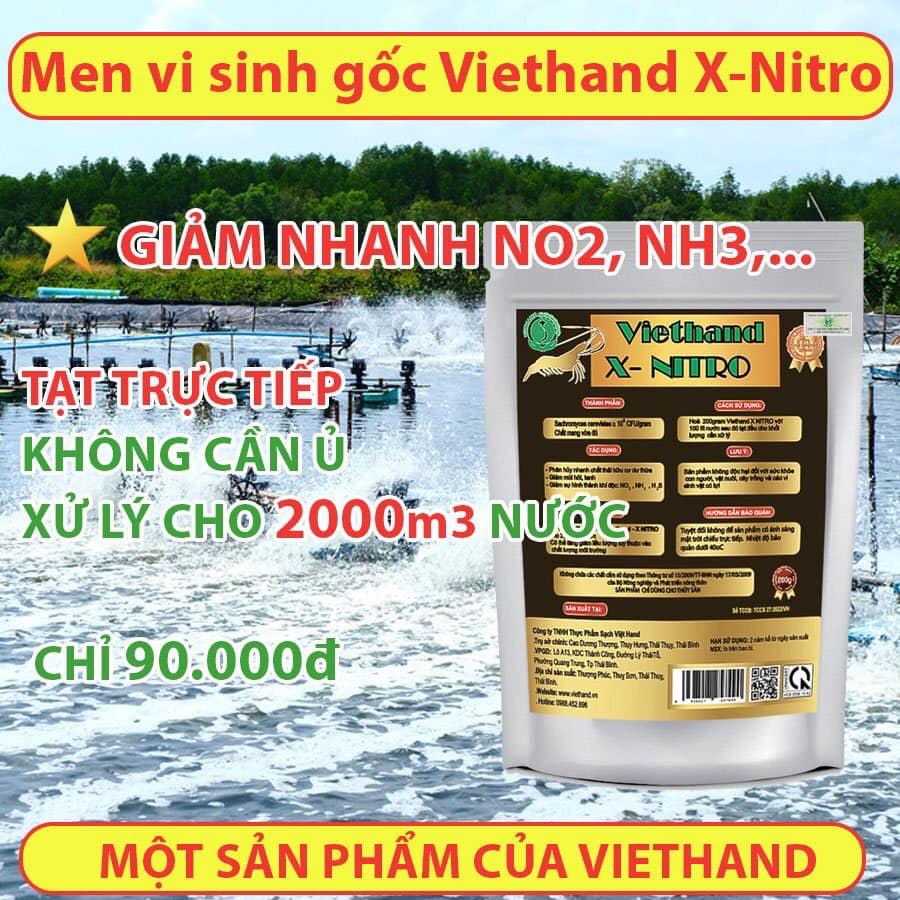Men Vi Sinh - Xử Lý Khí Độc NO2, NH3, H2S Cho Ao Tôm, Cá, Ốc, Ếch, Lươn X- Nitro VietHand 200g/Hiệu quả sau 1 nhịp đánh
