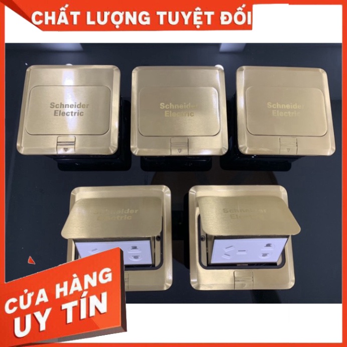 {chất lượng} Ổ cắm mạng âm sàn Schneider 2 ổ cắm điện