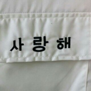 Áo sơmi thêu Saranghae