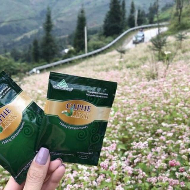 caphe thảo dược vinalink (date 2024)