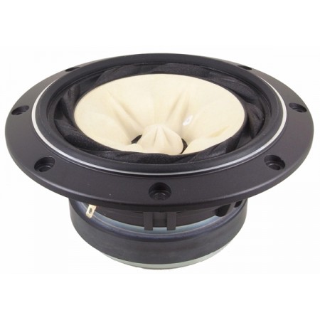 Củ loa rời toàn dải 16cm cao cấp Fostex FE168EZ (Sigma), giá bán theo cặp